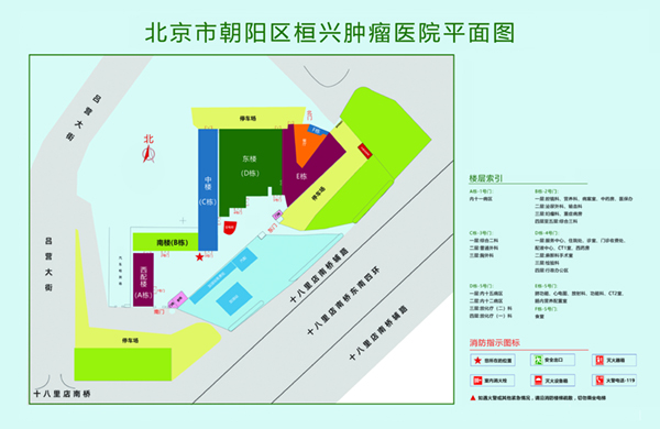 啊嗯不要射了视频北京市朝阳区桓兴肿瘤医院平面图